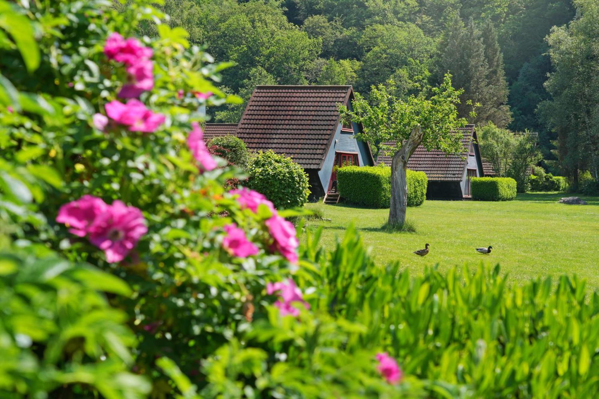 Domaine Long Pre Villa Stavelot Dış mekan fotoğraf